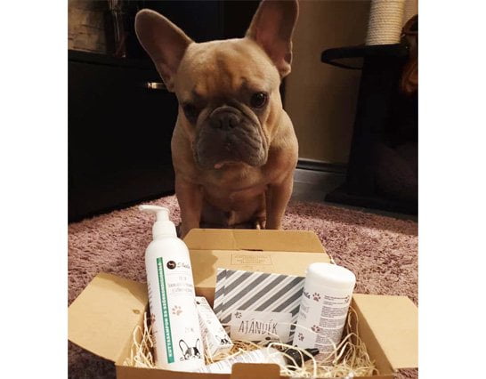 DATA_018_item_pic_02kj