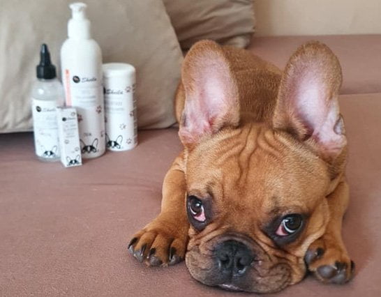 DATA_018_item_pic_02kj1